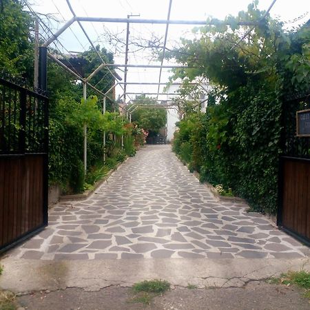 Guesthouse Giorgi Telavi Exteriér fotografie