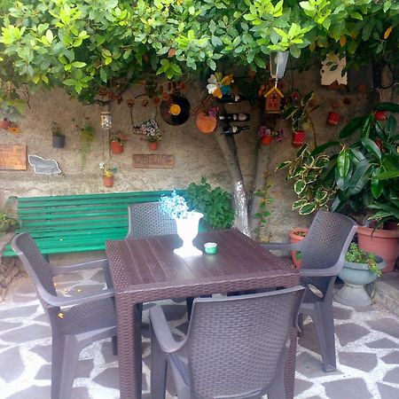 Guesthouse Giorgi Telavi Exteriér fotografie