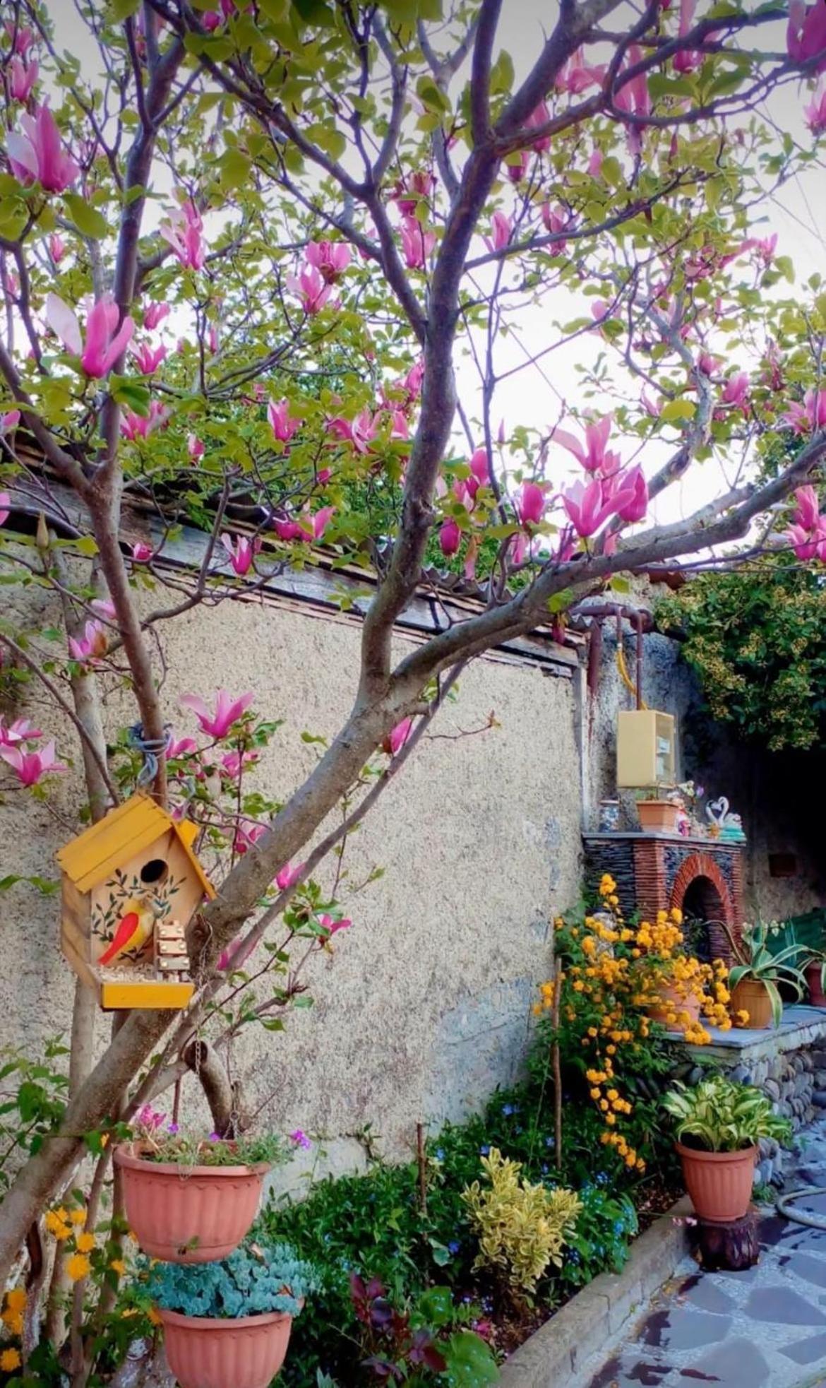 Guesthouse Giorgi Telavi Exteriér fotografie